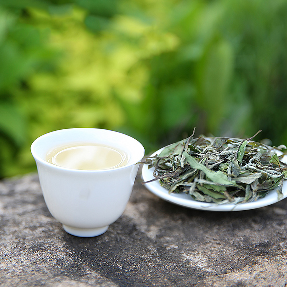 Chinese White Tea