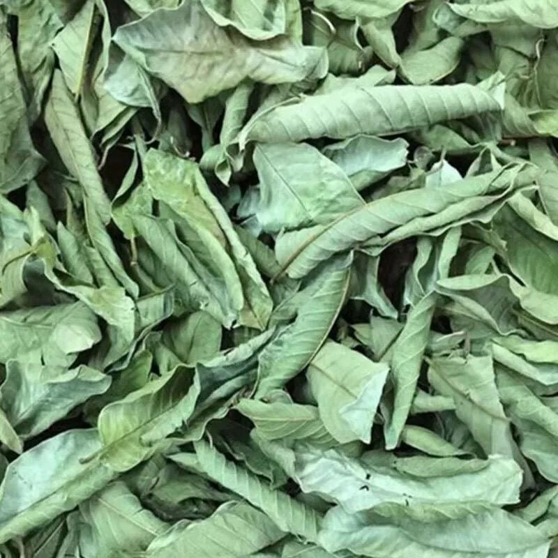 Guava tea