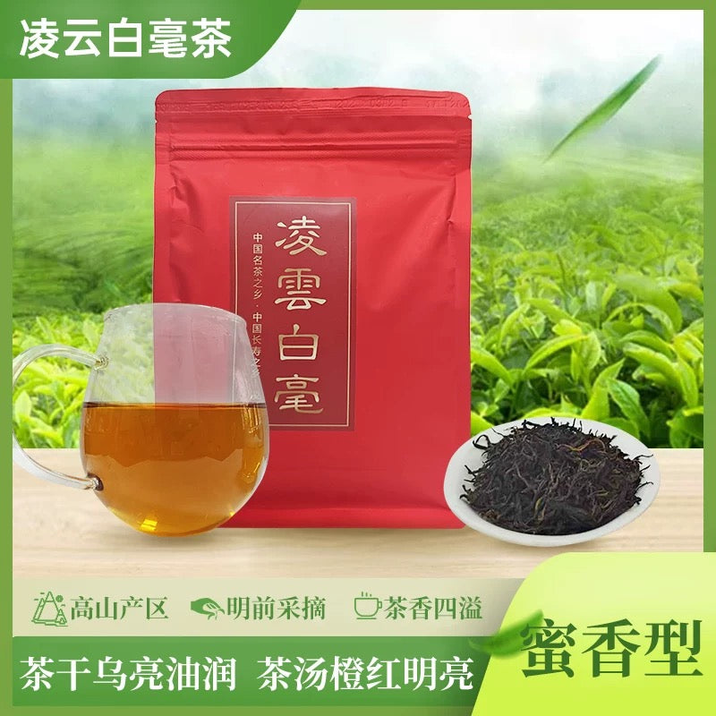 Guangxi Lingyun Baihao Spring Tea - New Tea from High Mountain Black Tea